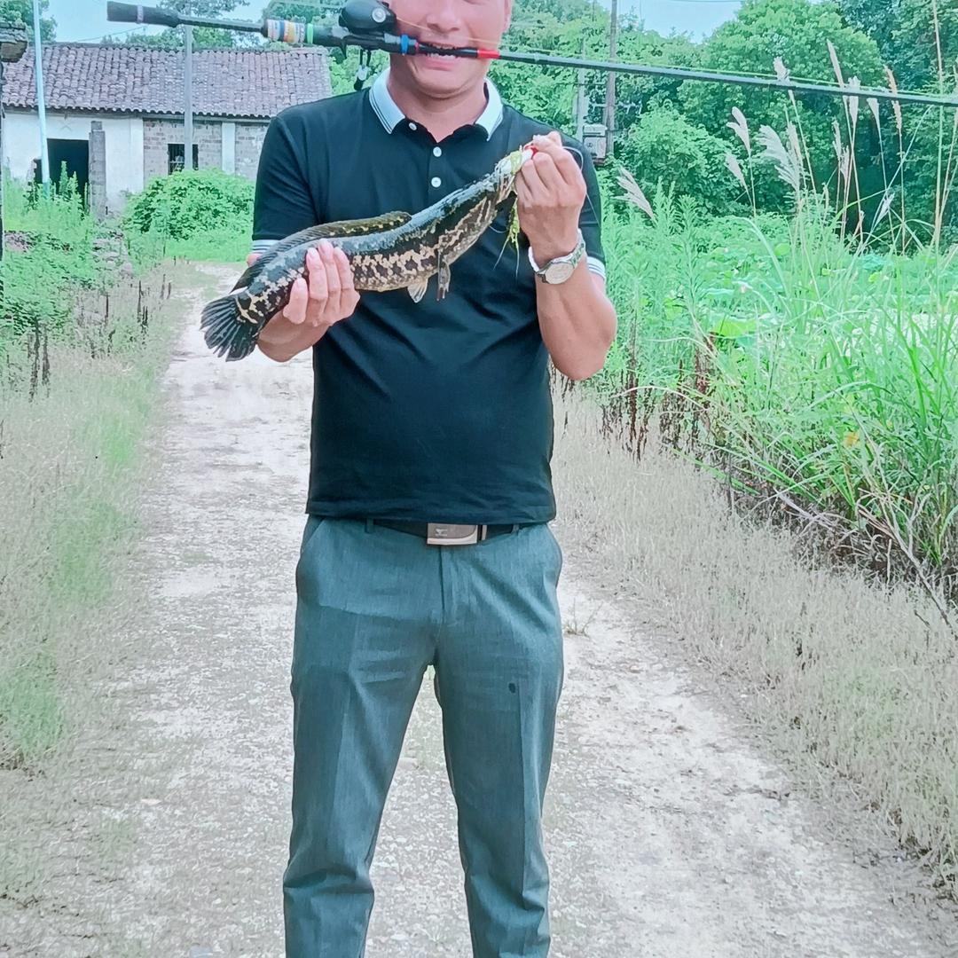 风里雨里沙滩等你