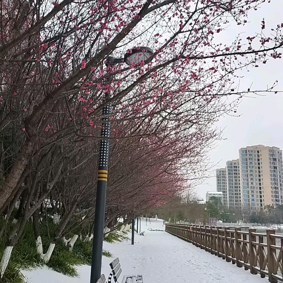 @,阳光