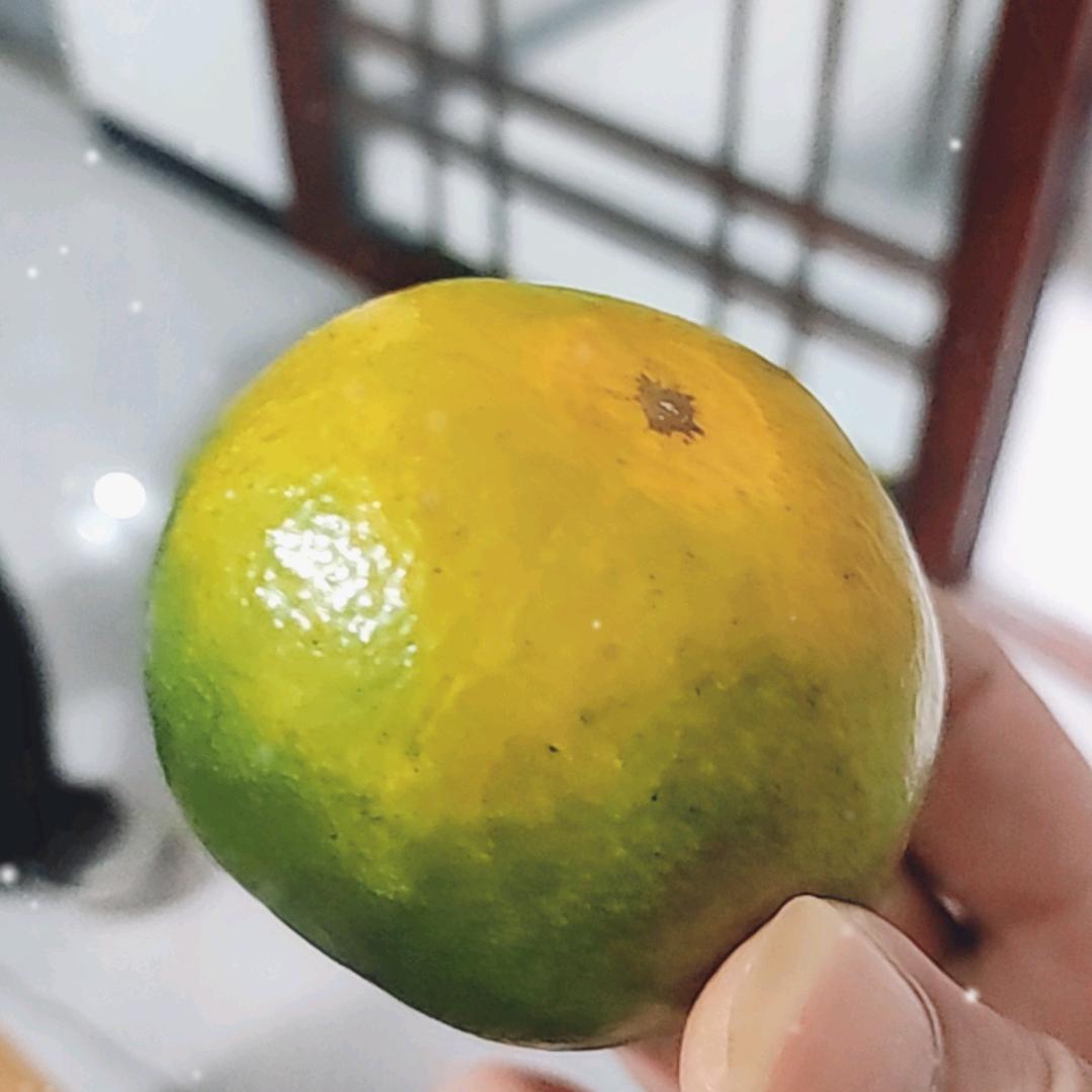 毛绒绒