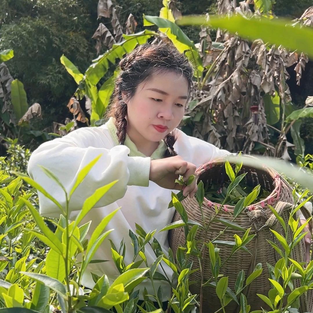 兴宁市单枞茶行