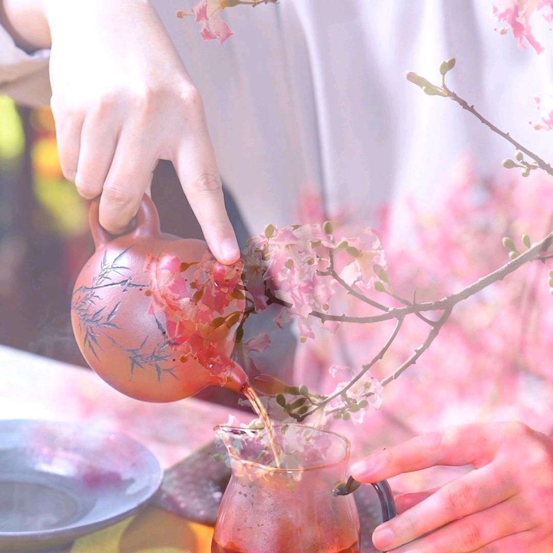 山茶一叶阿瑾