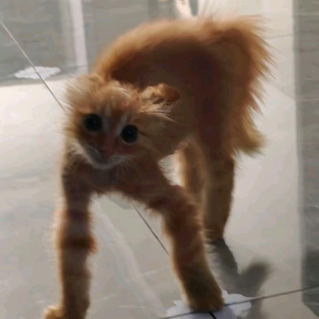 上班日常生活