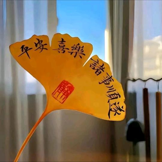 风中🌴沙雨