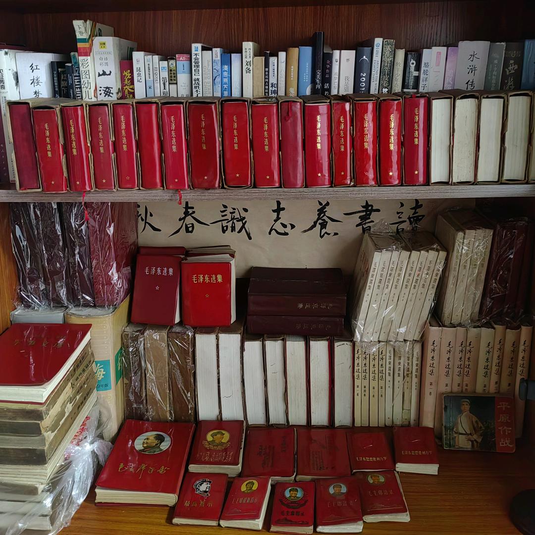 纪念币钱币（红色收藏）