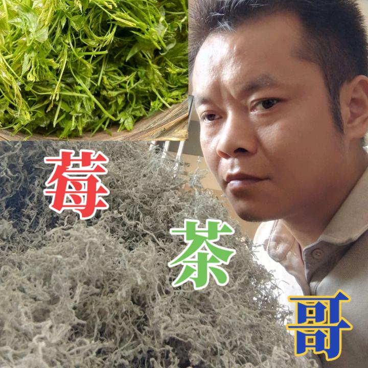 🌿莓茶🍵哥