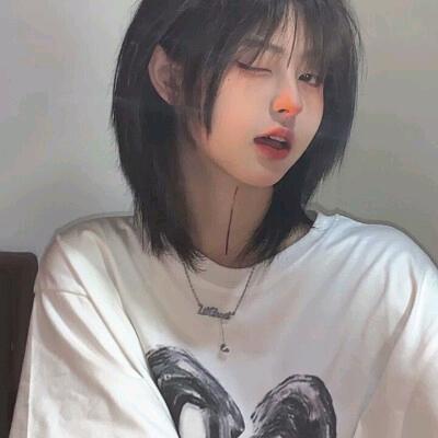 谢楚灵的猫