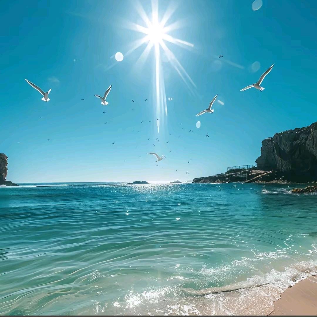 晴天喔🌞🌞