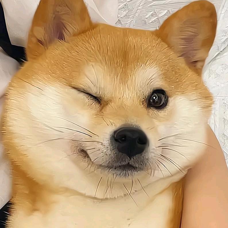 平平无奇起名天才