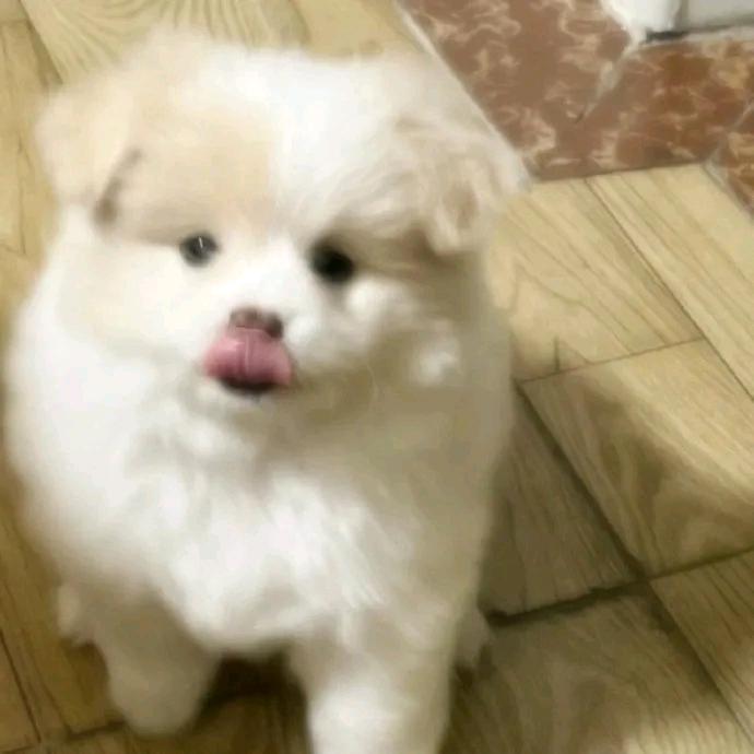 长安好Ff🍃