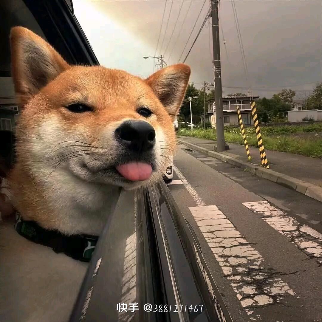 几道