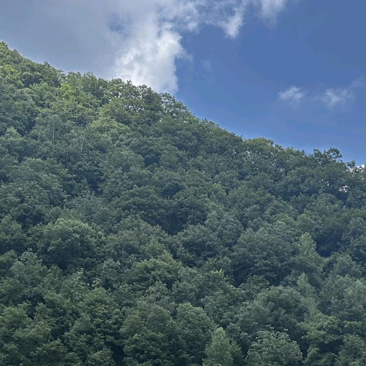 往后余生过好自己