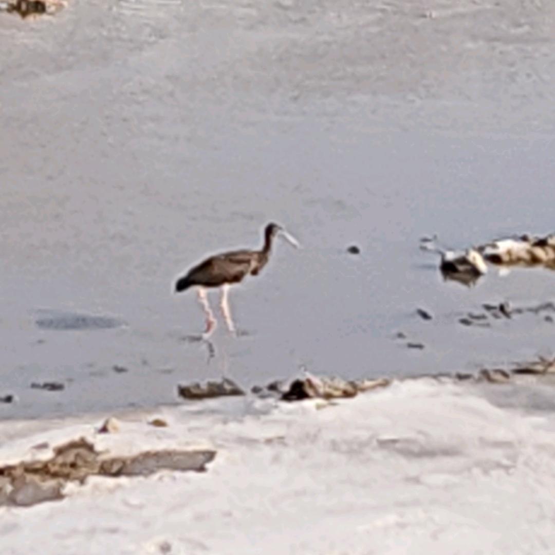 我命由我不由天