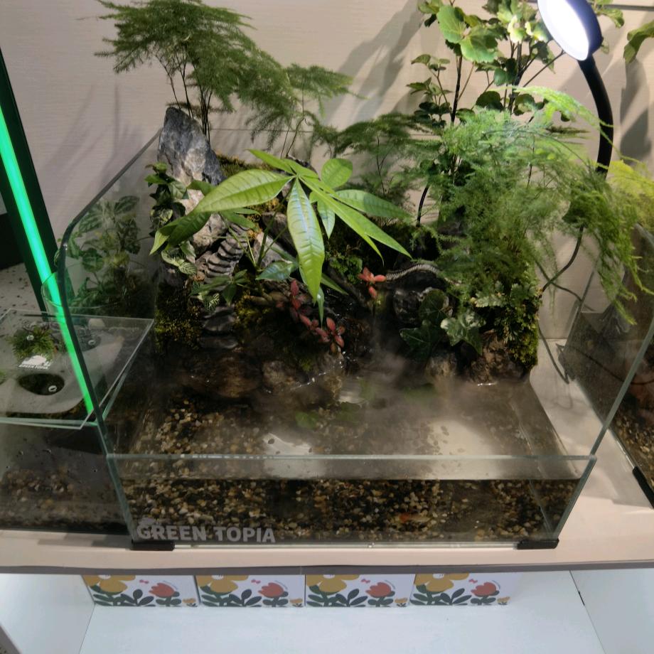 大珏
