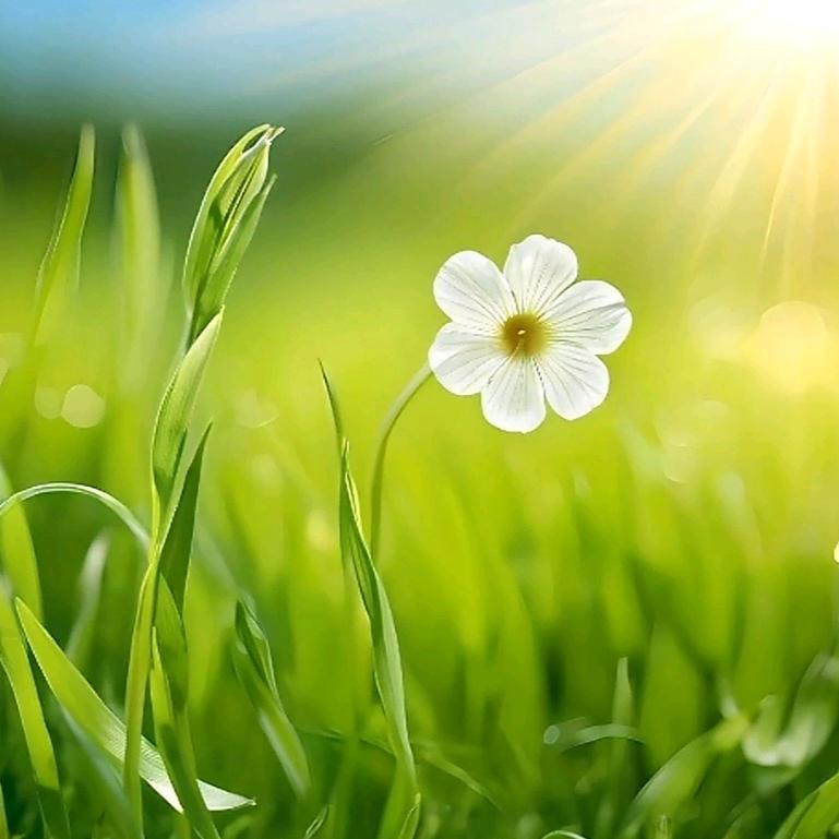 ♛♥招财喵酱～小沅灵∰