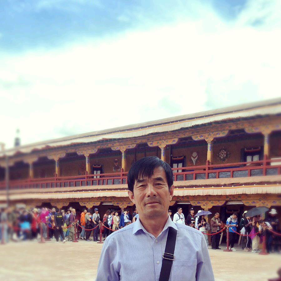 开朗电子琴 🎹