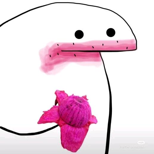 2w小熊星座
