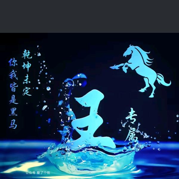 ✨乾坤未定的王✨