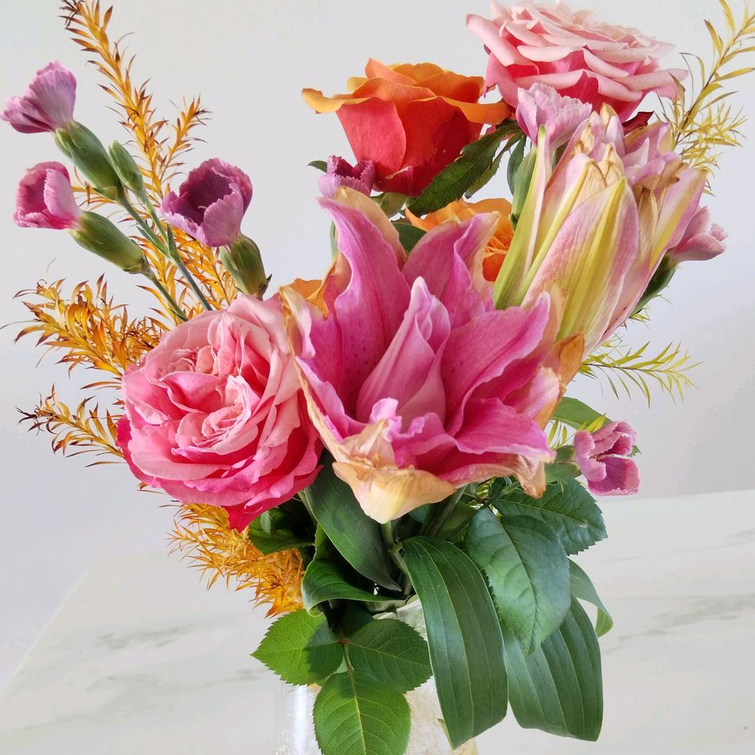 顾姐皇后锅美食