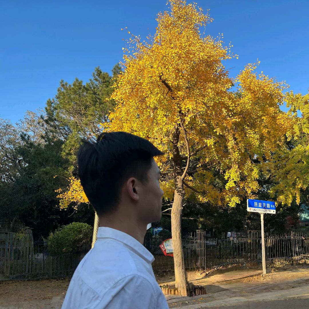 小李不胖👉
