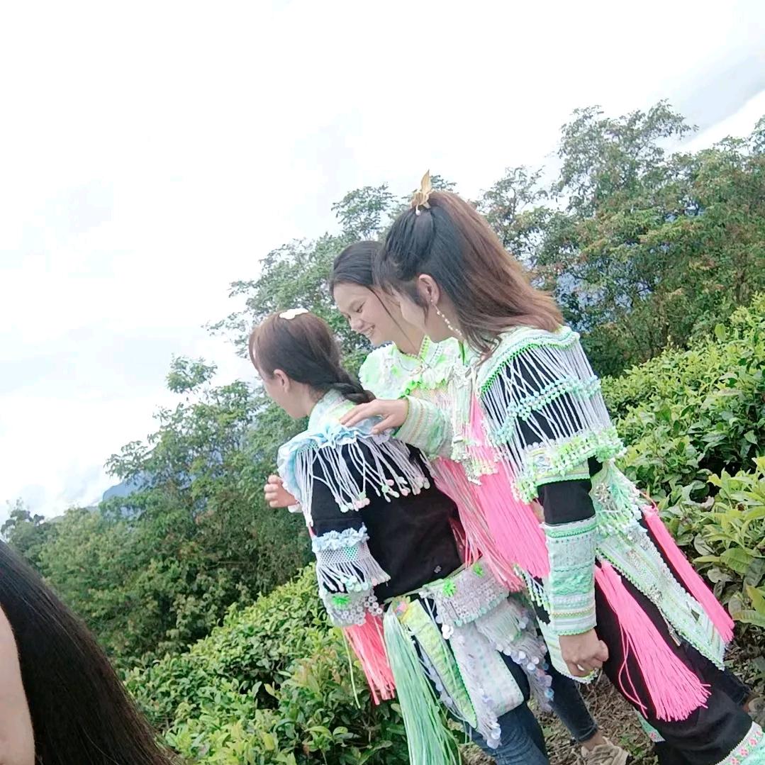 单身瑶妹