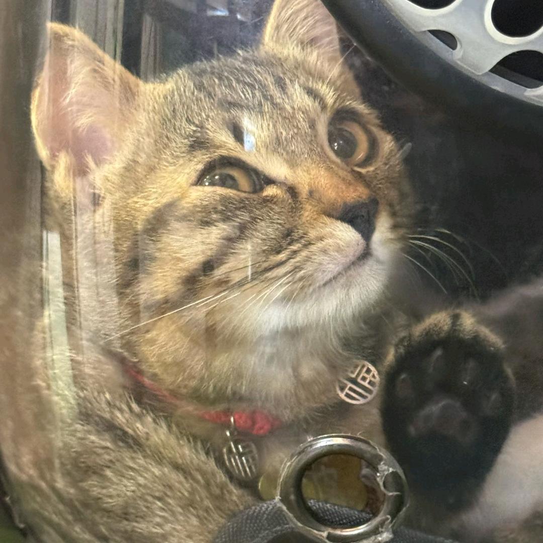 @诺贝尔一直讲！