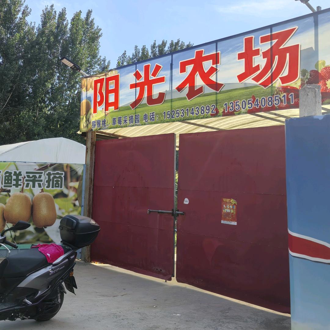 阳光农场猕猴桃草莓采摘园