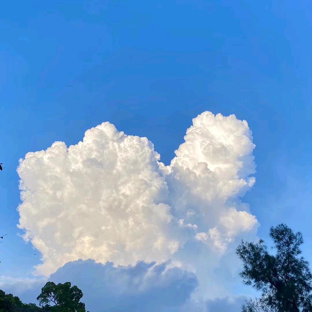 白水泉