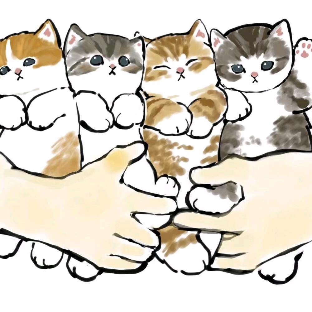 小九布偶猫舍