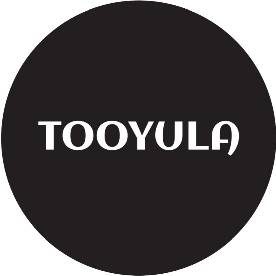 TOOYULA匹克球拍