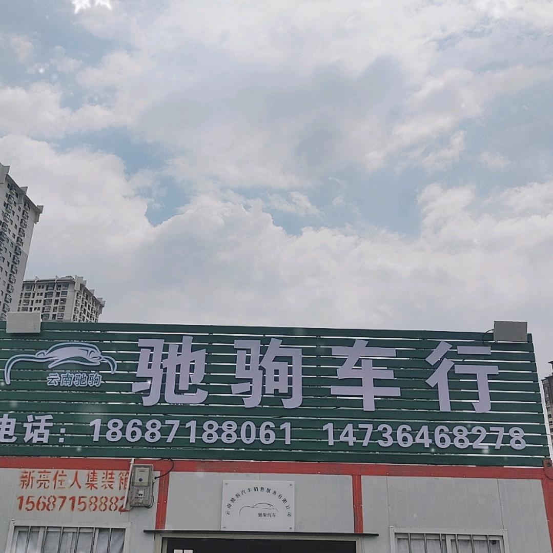 驰驹严选二手车