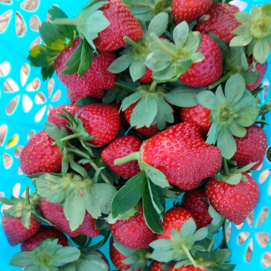 ✨幸 运 加 满✨