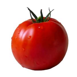 两毛钱生鲜(二店)