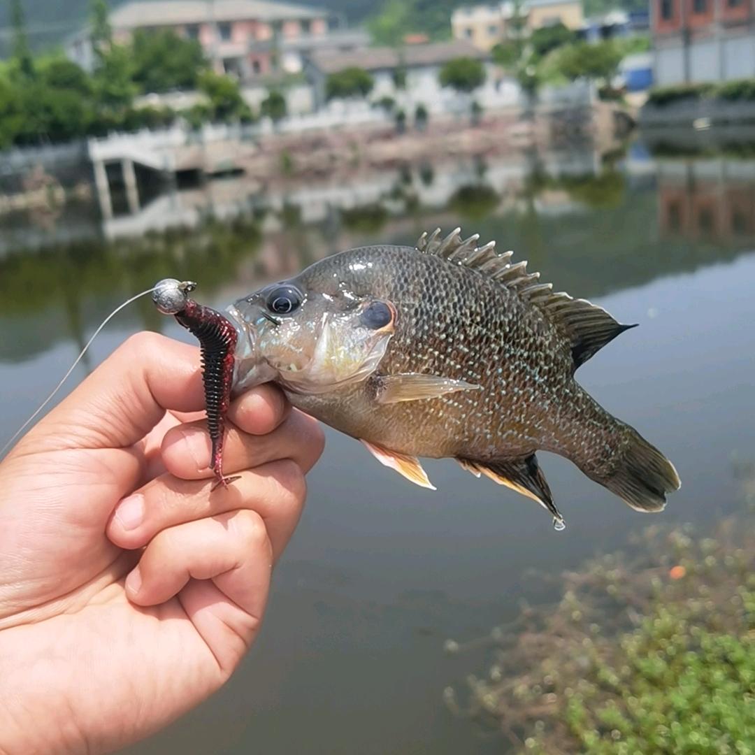 浪翻云