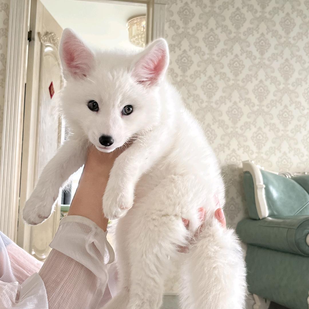 我和花荣的幸福生活