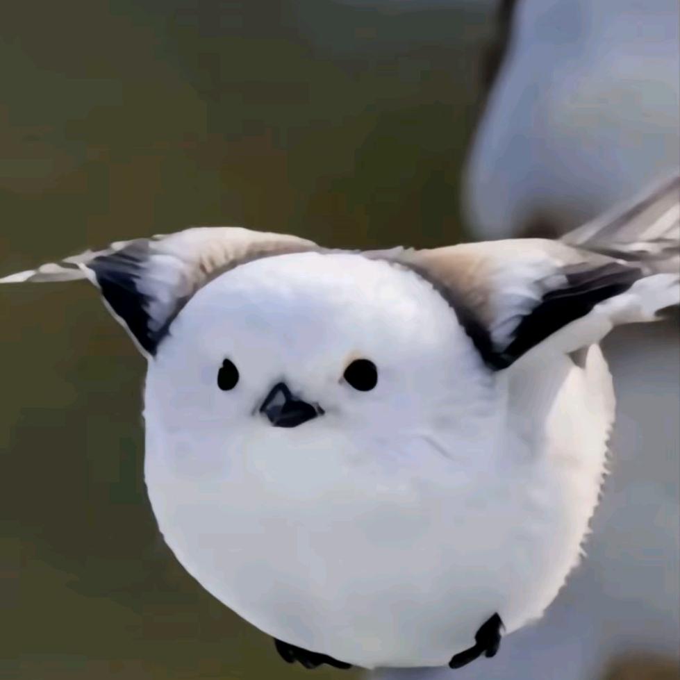 驚蛰
