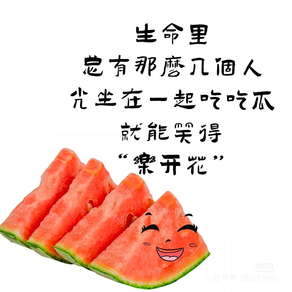 多米瓜甜