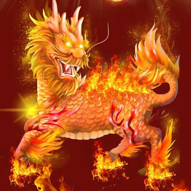 道气长存梁木师兄柒