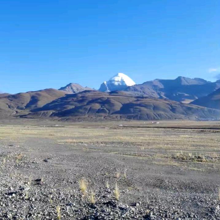 小鹿过河🦌