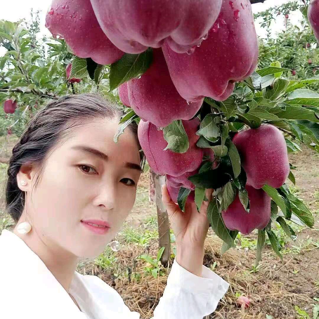 花牛苹果之乡