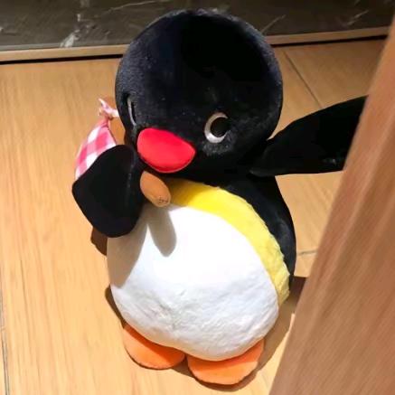 活着n