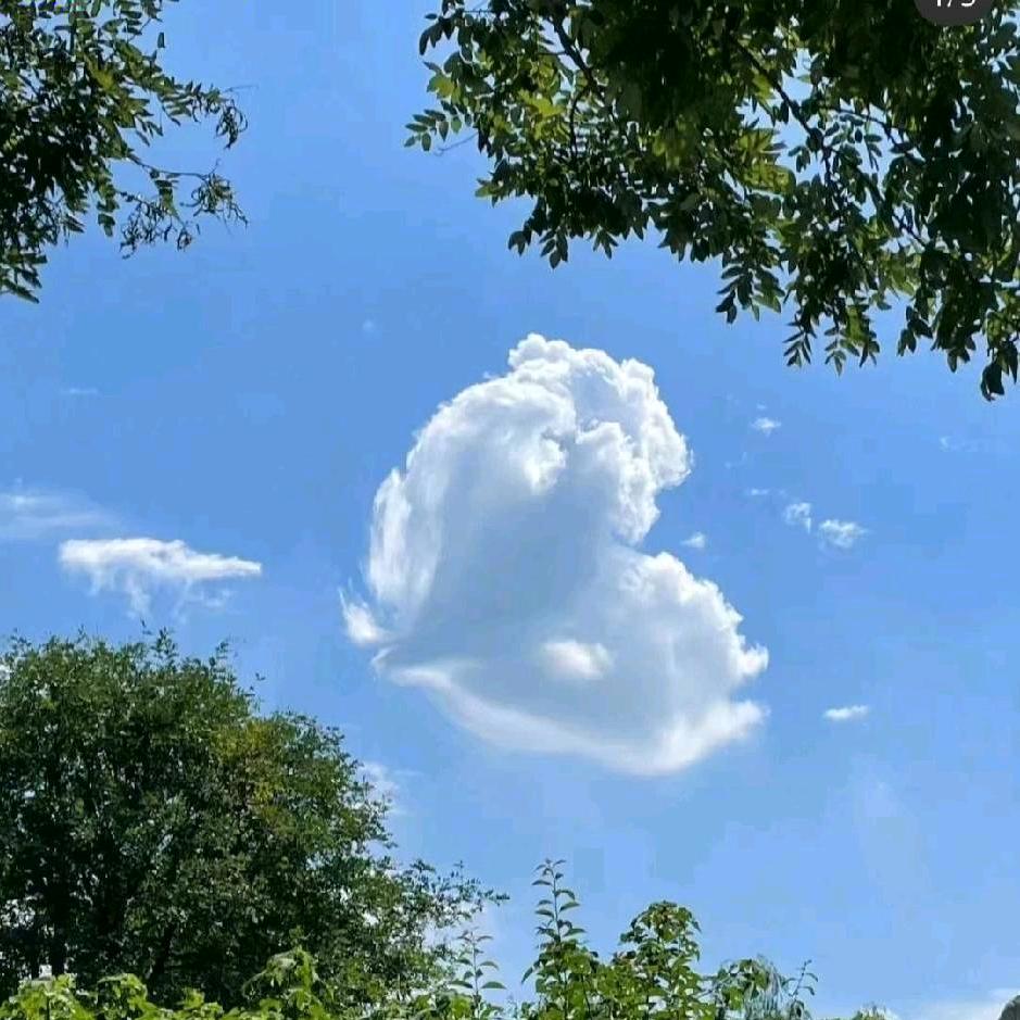 可乐味的小太阳🌞