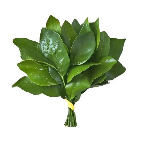 ⫍ ⃢👁ܫ👁⃢ ⫎