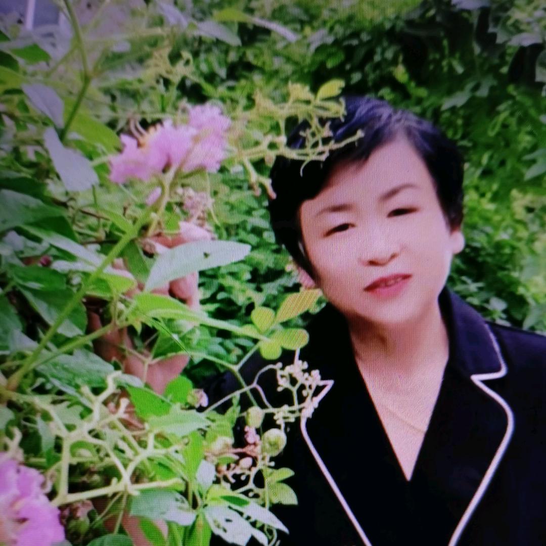老苗.