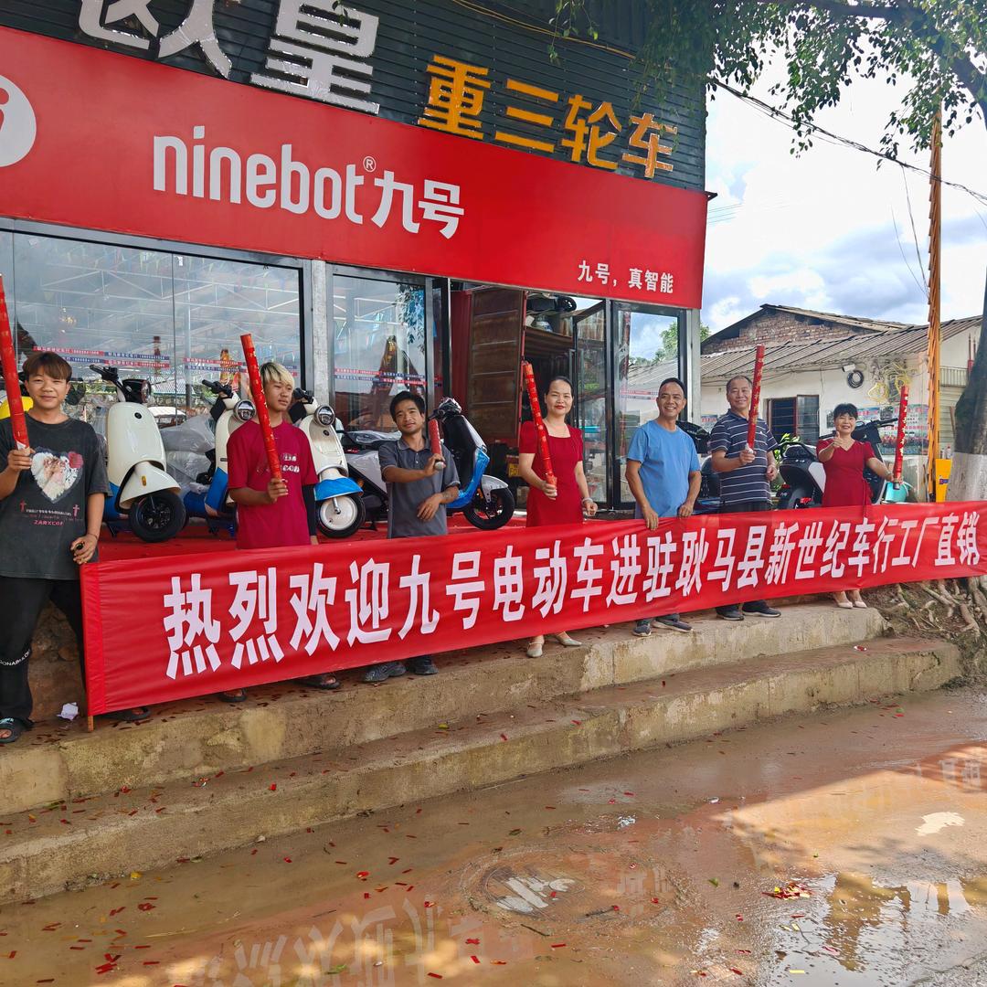 耿马九号雅迪欧皇重三轮店