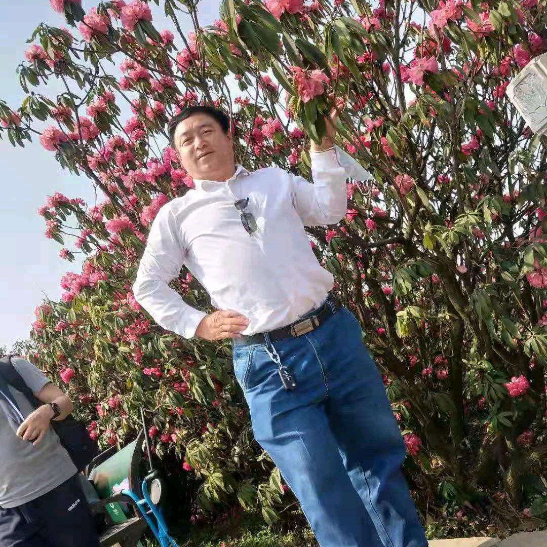 老糊涂