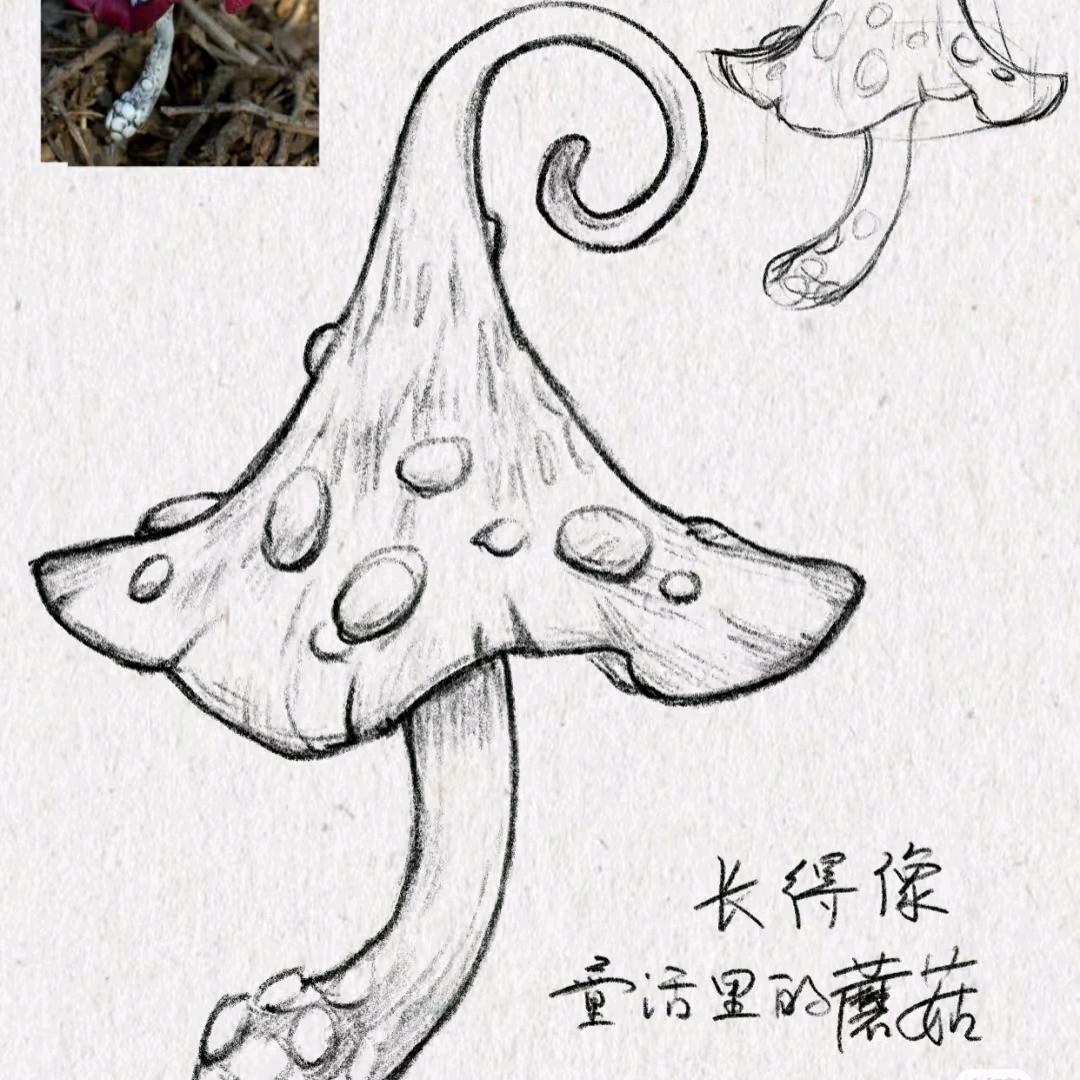 鱼鱼手作