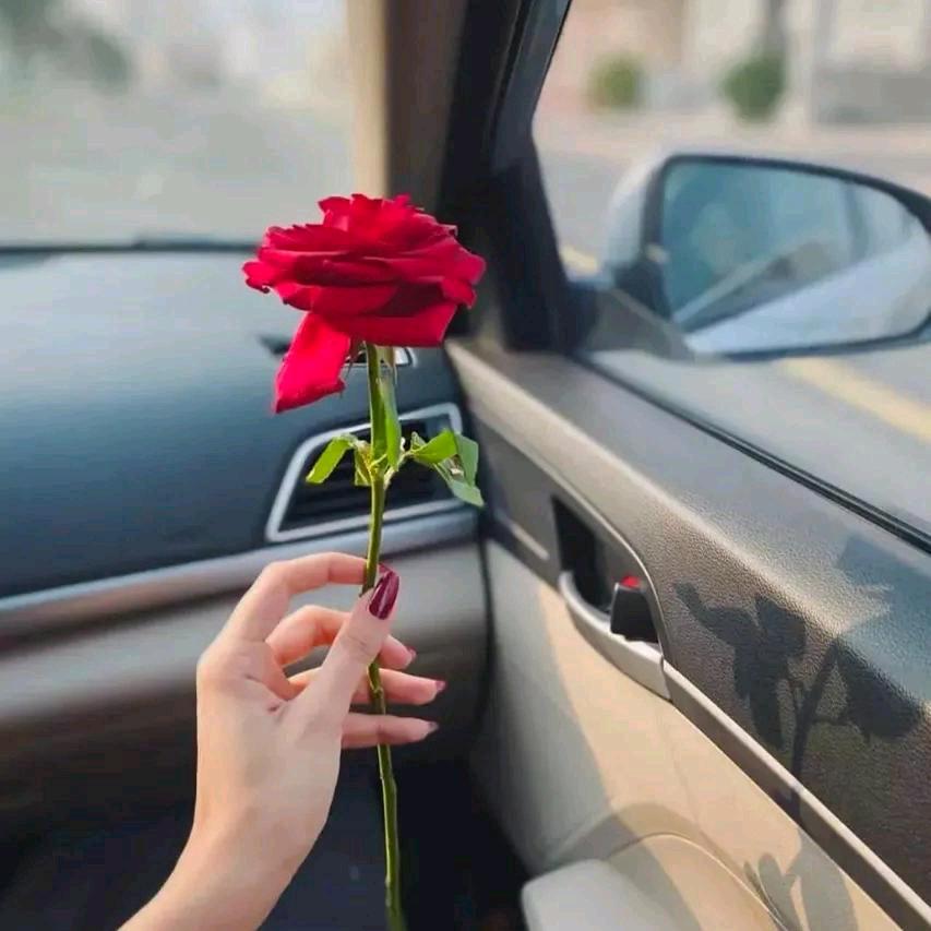 💕艾比💕
