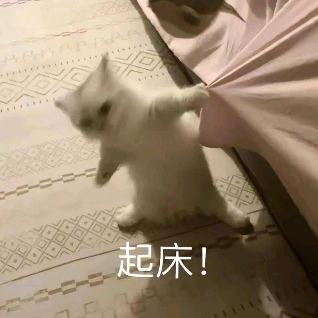 三点没有半头像