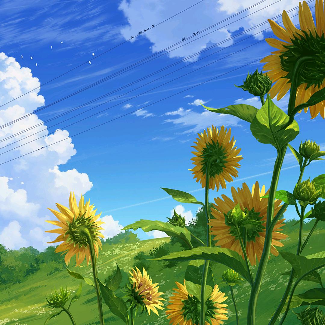 AA