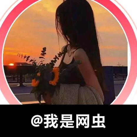 我是网虫
